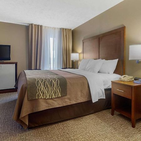 Comfort Inn 브리스톨 외부 사진